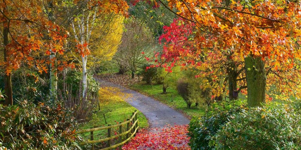 Bodenham Arboretum, United Kingdom